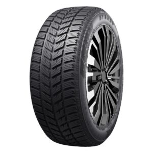 205/55R16 DYNAMO SNOW-H MSL01 94T XL Friction BCB70 3PMSF M+S