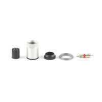 TPMS ServiceKit VDO TG1B VW x10 Grey (SKA914, 6-115)