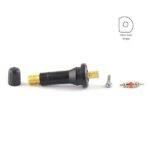 Valve for Schrader snap-In Type 2 (x10) (SKA957, 6-210H, 5033)