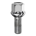 Bimecc Bolt S17F29-KL100 M14x1.25x29 17 mm Hex R13 1 pcs