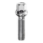 Bimecc Bolt S17D60-RDTT M14x1.5x60 17 mm Hex R12 1 pcs