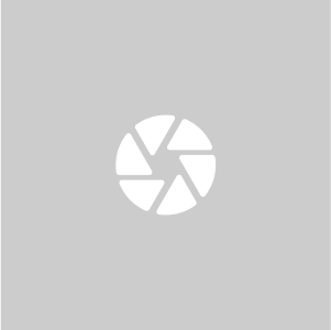 Brobet Wheel Cap (9920B1)