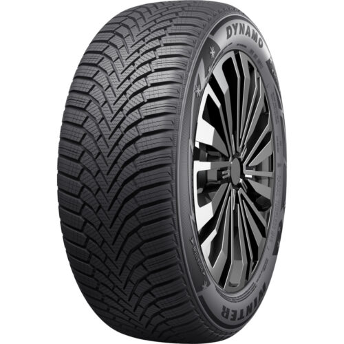 195/65R14 DYNAMO WINTER 89T Studless DCB72 3PMSF M+S